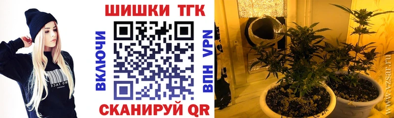 Бошки Шишки индика  Ковдор 